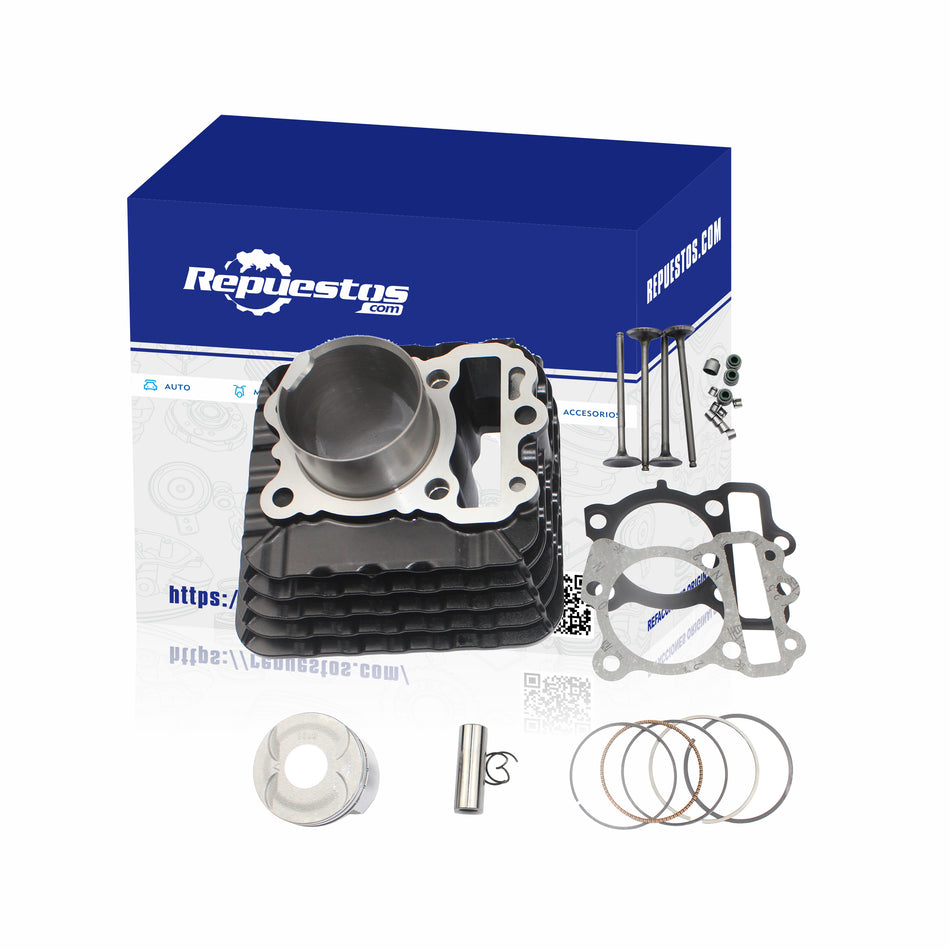 COMPLETE CYLINDER KIT FOR BAJAJ DISCOVER 125 4V