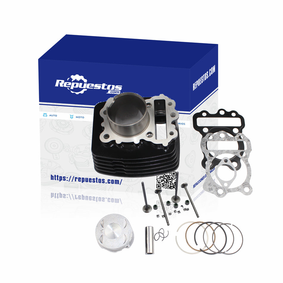 KIT DE CILINDRO COMPLETO Y VÁLVULAS PARA BAJAJ PULSAR 135