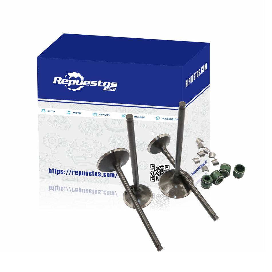 KIT VÁLVULAS ADMISION Y ESCAPE PARA CF MOTO NK250 SR250