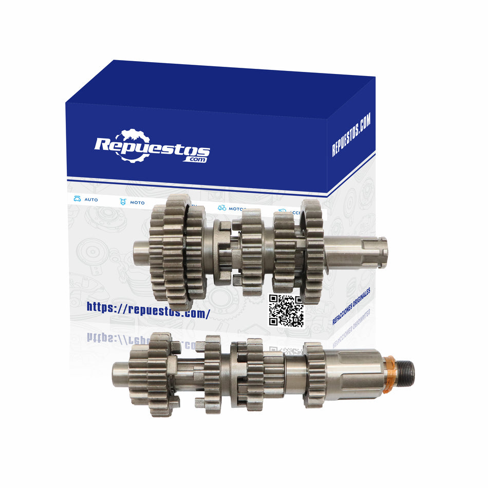 PRIMARY AND SECONDARY TRANSMISSION SHAFT FOR BDS KAPRA 200 2010-2015