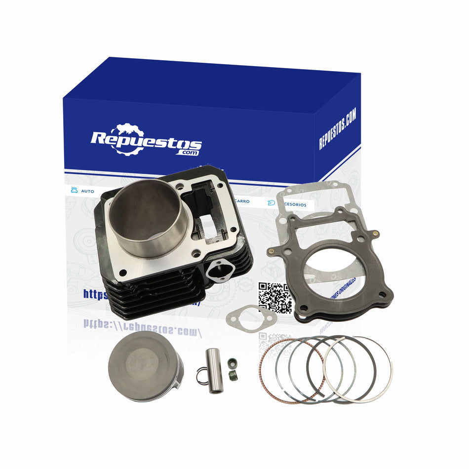 COMPLETE CYLINDER KIT FOR ITALIKA DM300